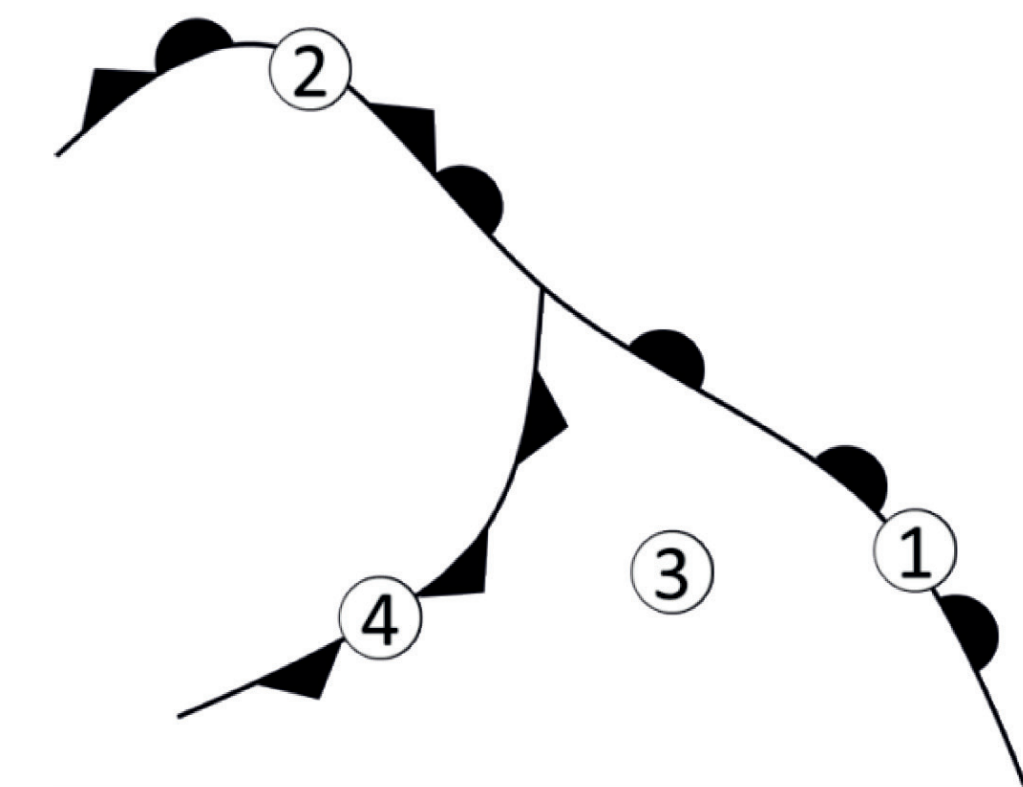 Image de la question 13