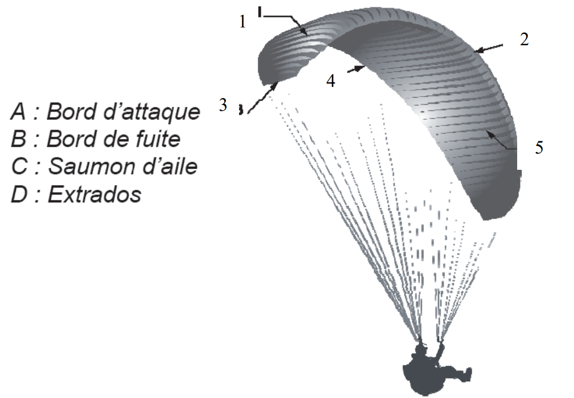 Image de la question 9